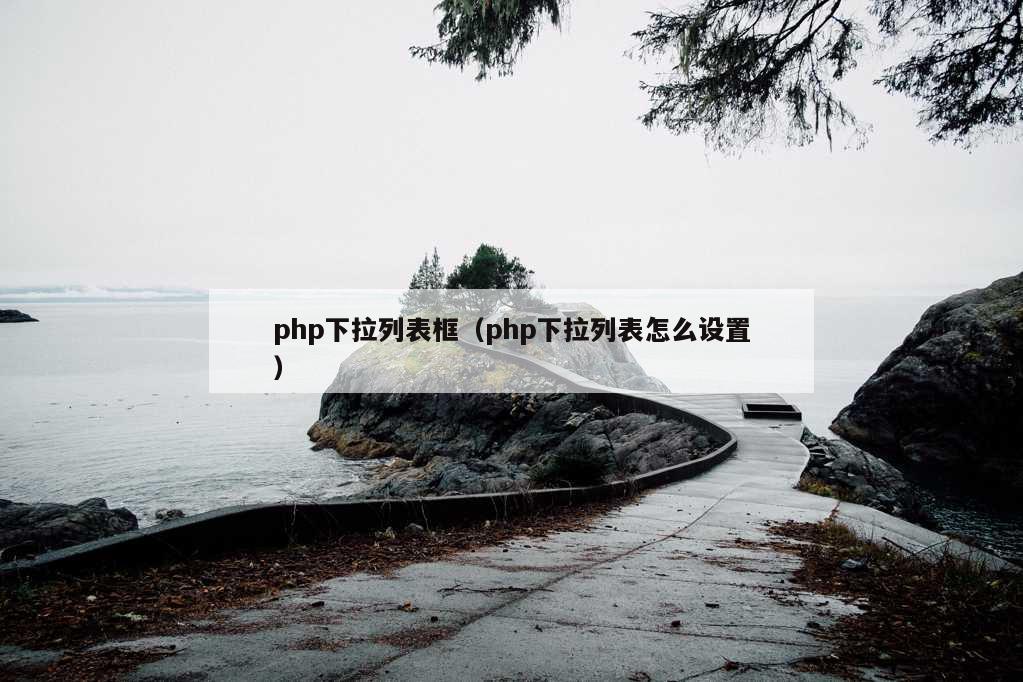 php下拉列表框（php下拉列表怎么设置）