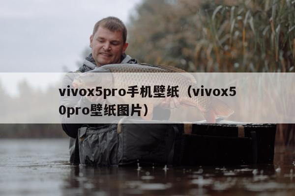 vivox5pro手机壁纸（vivox50pro壁纸图片）