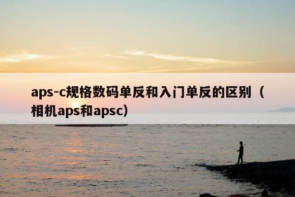 aps-c规格数码单反和入门单反的区别（相机aps和apsc）