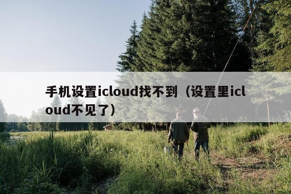 手机设置icloud找不到（设置里icloud不见了）