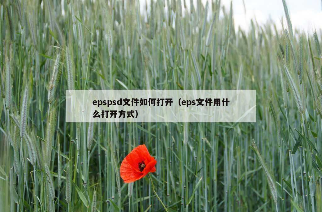 epspsd文件如何打开（eps文件用什么打开方式）