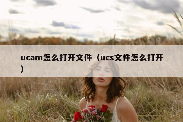 ucam怎么打开文件（ucs文件怎么打开）