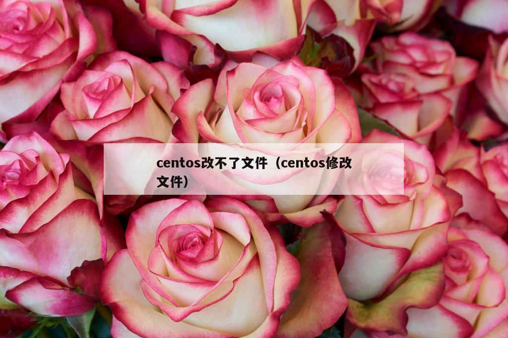 centos改不了文件（centos修改文件）