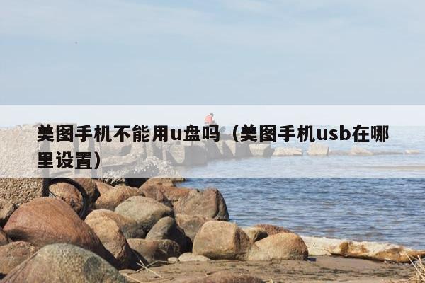 美图手机不能用u盘吗（美图手机usb在哪里设置）