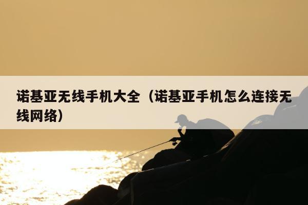 诺基亚无线手机大全（诺基亚手机怎么连接无线网络）