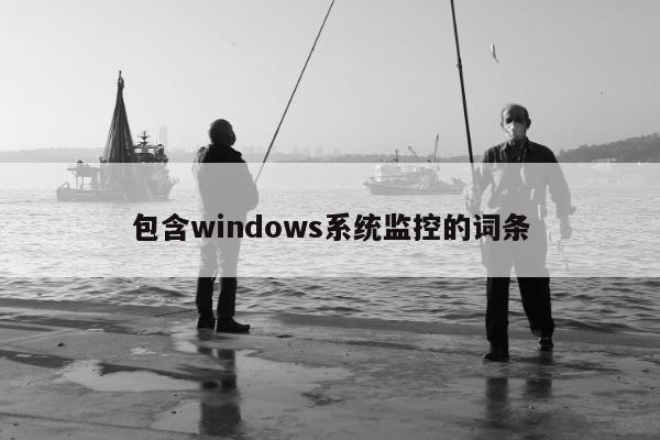 包含windows系统监控的词条