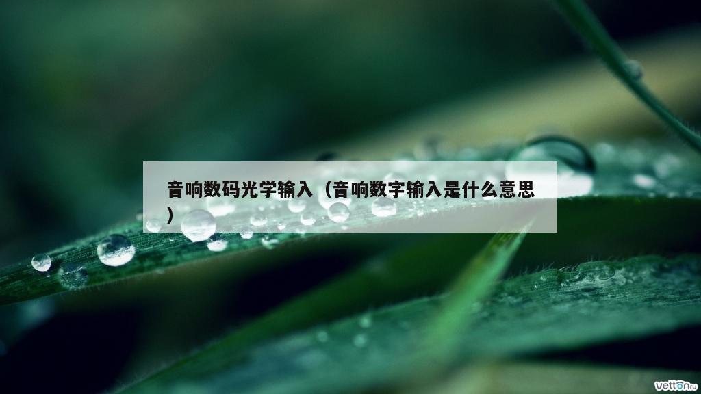 音响数码光学输入（音响数字输入是什么意思）