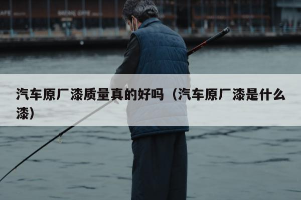 汽车原厂漆质量真的好吗（汽车原厂漆是什么漆）