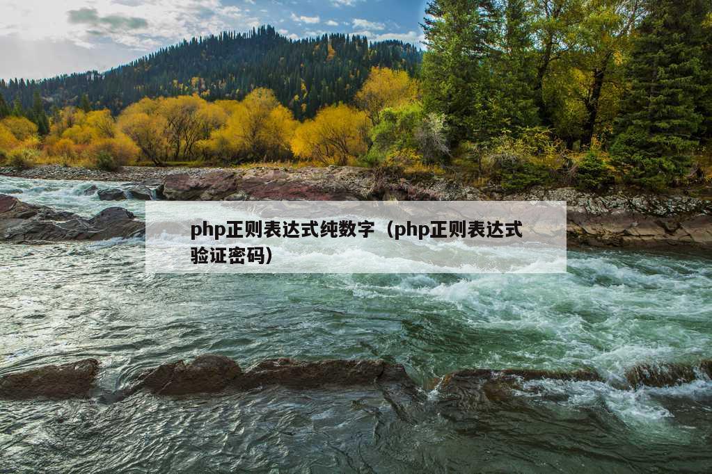 php正则表达式纯数字（php正则表达式验证密码）