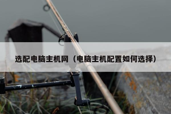 选配电脑主机网（电脑主机配置如何选择）