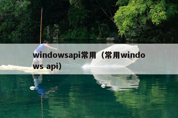 windowsapi常用（常用windows api）