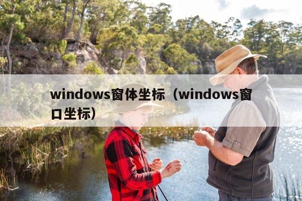 windows窗体坐标（windows窗口坐标）