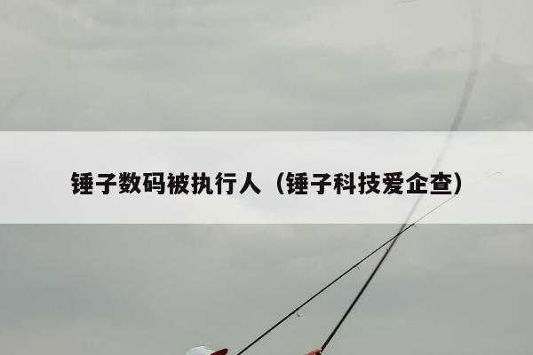 锤子数码被执行人（锤子科技爱企查）