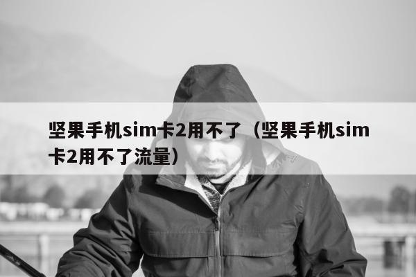 坚果手机sim卡2用不了（坚果手机sim卡2用不了流量）