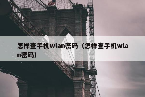 怎样查手机wlan密码（怎样查手机wlan密码）