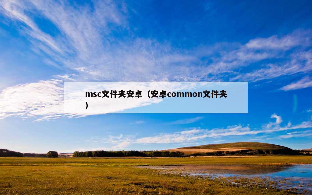 msc文件夹安卓（安卓common文件夹）