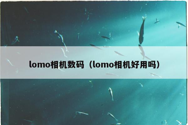 lomo相机数码（lomo相机好用吗）