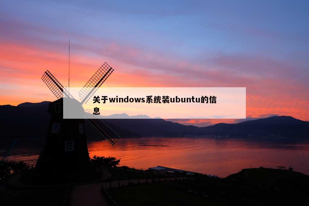 关于windows系统装ubuntu的信息