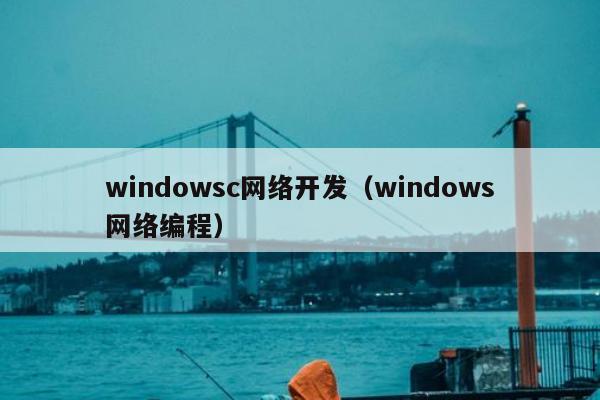 windowsc网络开发（windows网络编程）