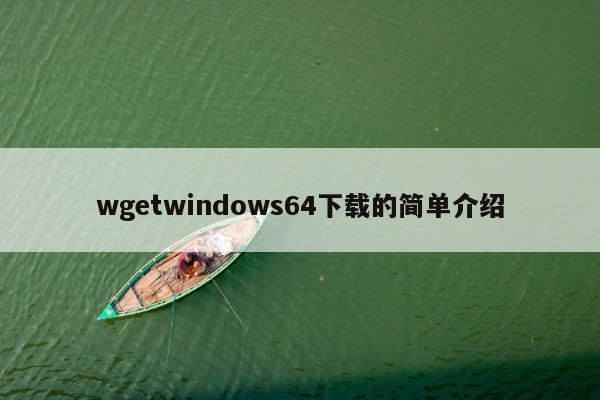 wgetwindows64下载的简单介绍