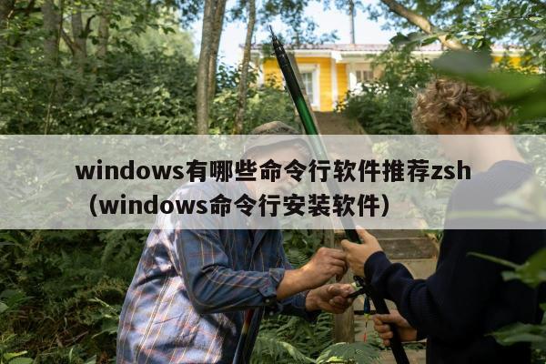 windows有哪些命令行软件推荐zsh（windows命令行安装软件）