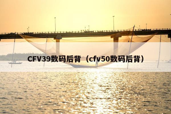 CFV39数码后背（cfv50数码后背）