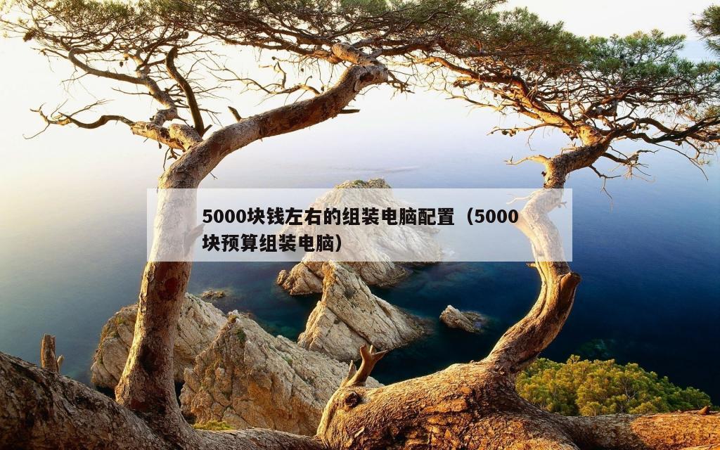 5000块钱左右的组装电脑配置（5000块预算组装电脑）