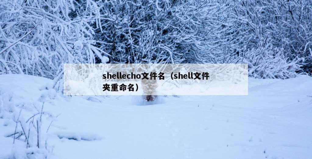 shellecho文件名（shell文件夹重命名）