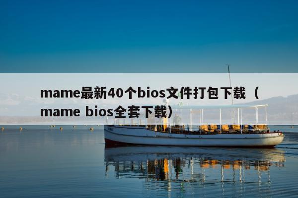 mame最新40个bios文件打包下载（mame bios全套下载）