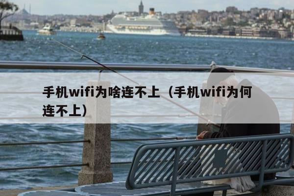 手机wifi为啥连不上（手机wifi为何连不上）