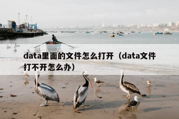 data里面的文件怎么打开（data文件打不开怎么办）