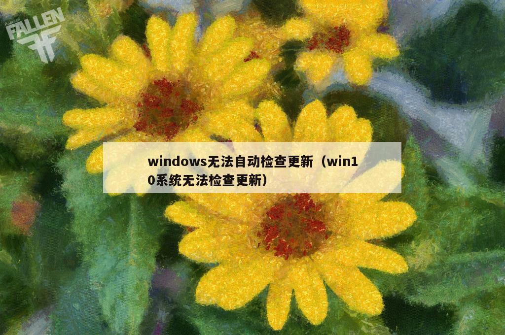 windows无法自动检查更新（win10系统无法检查更新）