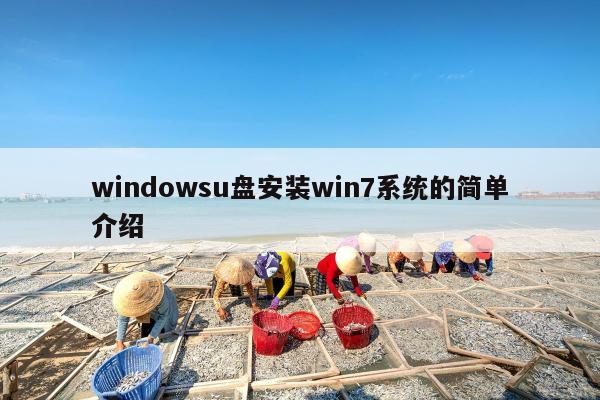 windowsu盘安装win7系统的简单介绍