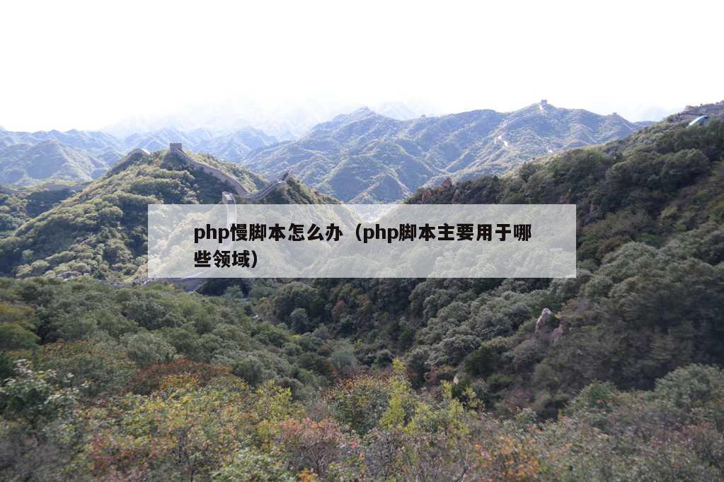 php慢脚本怎么办（php脚本主要用于哪些领域）