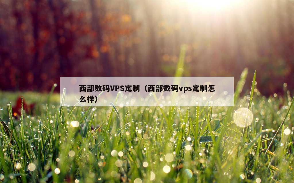 西部数码VPS定制（西部数码vps定制怎么样）