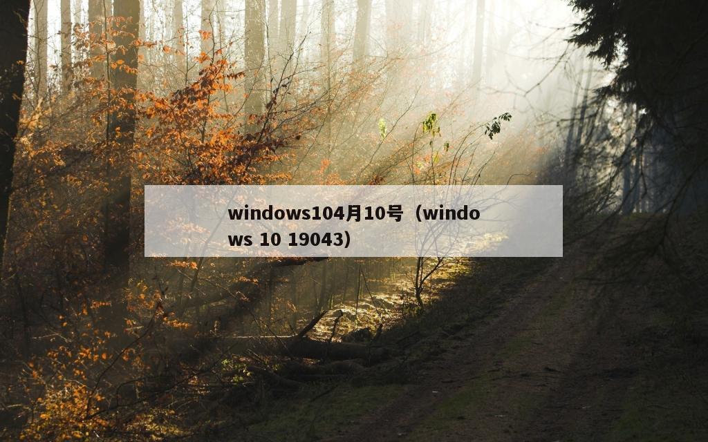 windows104月10号（windows 10 19043）