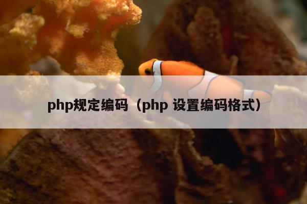 php规定编码（php 设置编码格式）