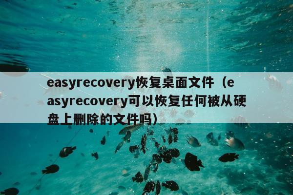 easyrecovery恢复桌面文件（easyrecovery可以恢复任何被从硬盘上删除的文件吗）