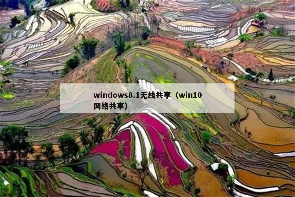 windows8.1无线共享（win10网络共享）