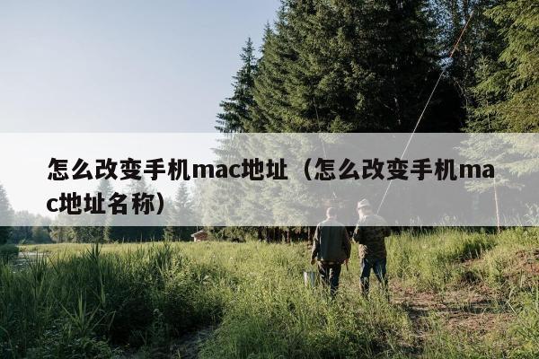 怎么改变手机mac地址（怎么改变手机mac地址名称）