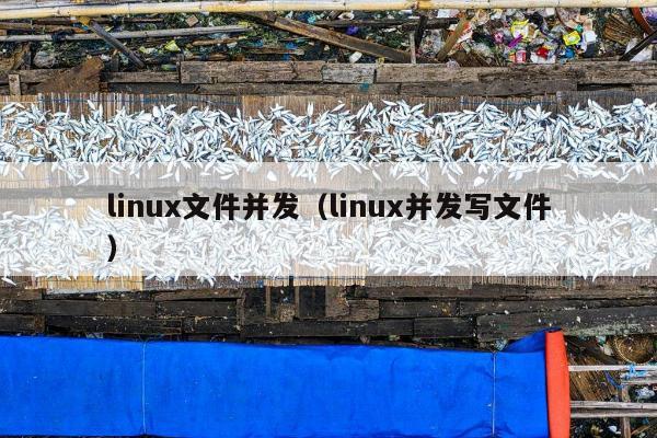 linux文件并发（linux并发写文件）