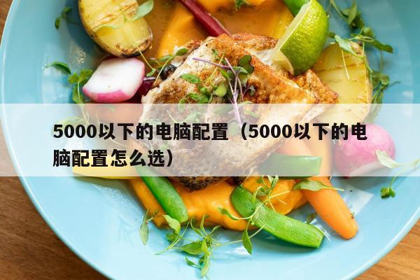 5000以下的电脑配置（5000以下的电脑配置怎么选）