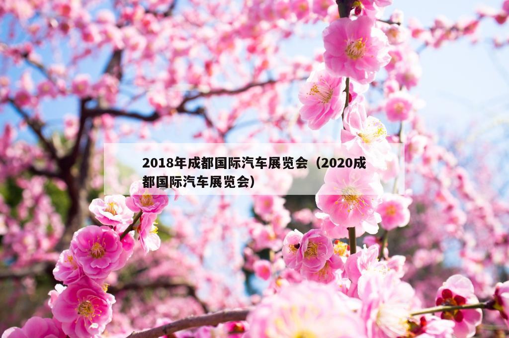 2018年成都国际汽车展览会（2020成都国际汽车展览会）