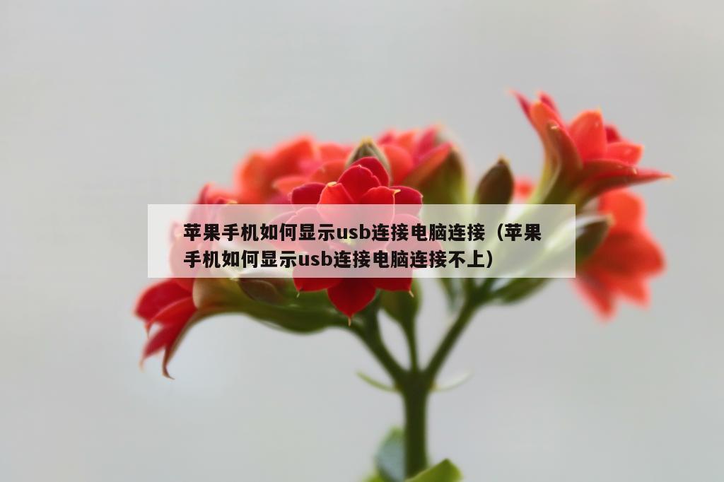 苹果手机如何显示usb连接电脑连接（苹果手机如何显示usb连接电脑连接不上）