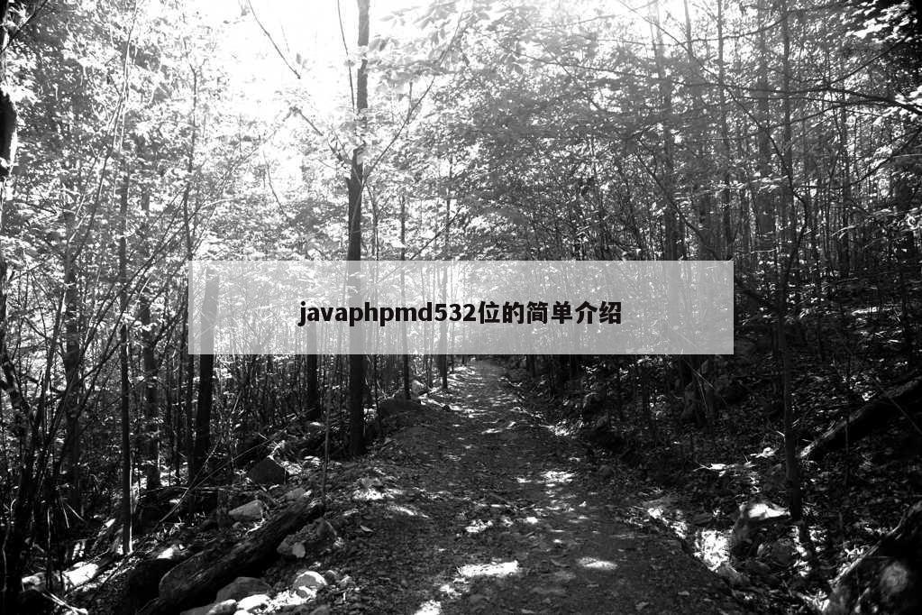 javaphpmd532位的简单介绍