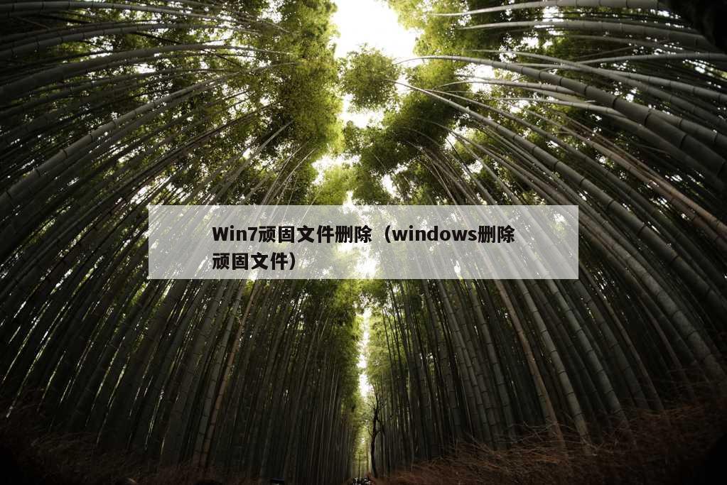 Win7顽固文件删除（windows删除顽固文件）