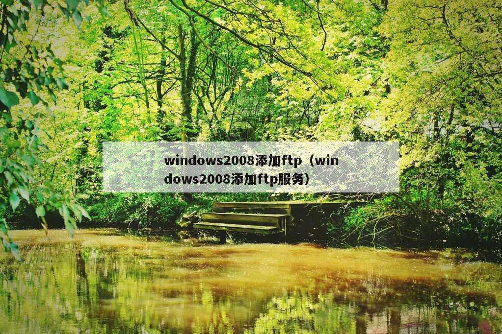 windows2008添加ftp（windows2008添加ftp服务）