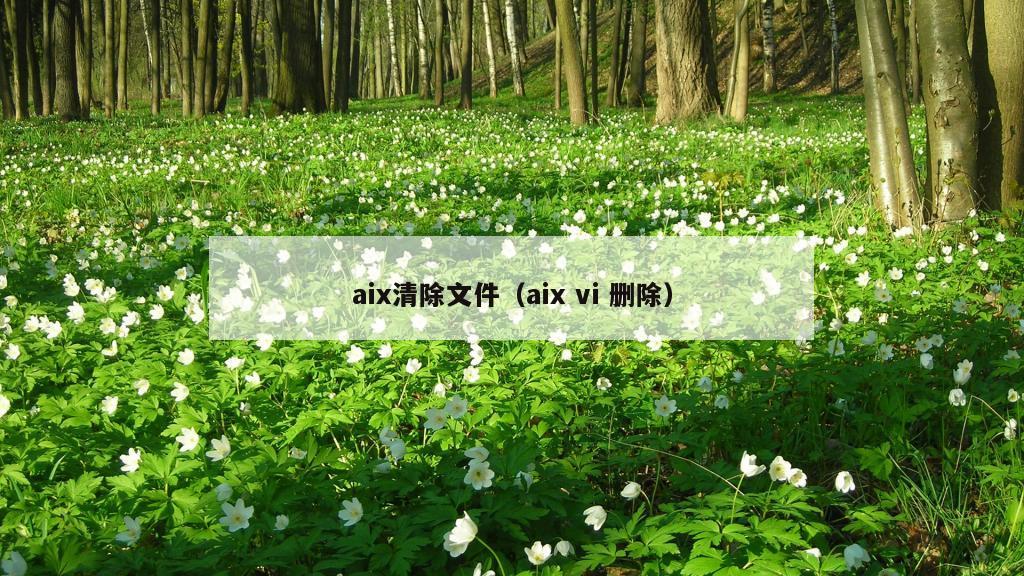 aix清除文件（aix vi 删除）