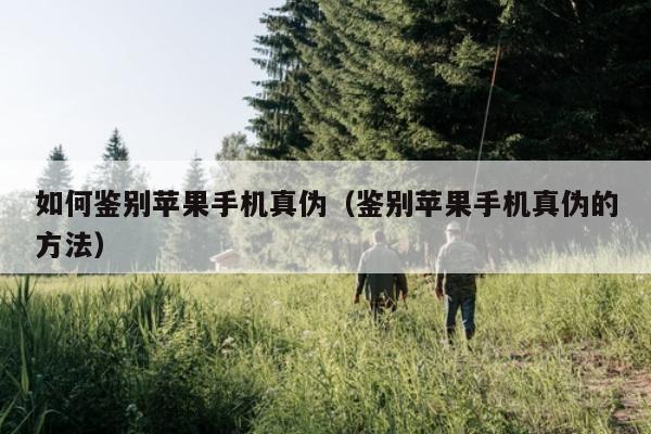 如何鉴别苹果手机真伪（鉴别苹果手机真伪的方法）