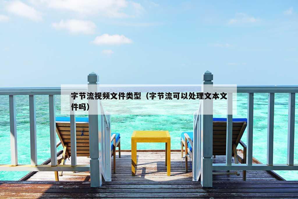 字节流视频文件类型（字节流可以处理文本文件吗）